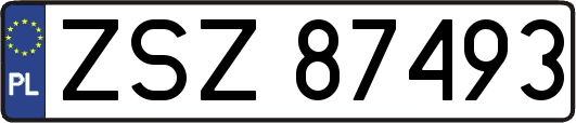 ZSZ87493