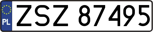ZSZ87495