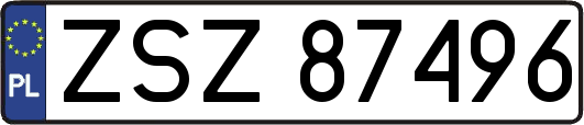 ZSZ87496
