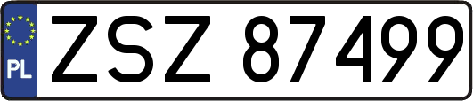 ZSZ87499