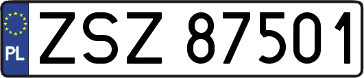 ZSZ87501