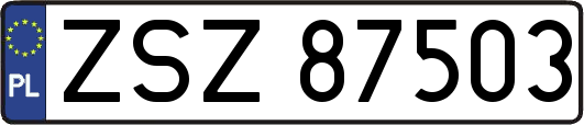 ZSZ87503