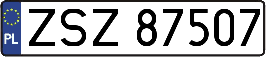 ZSZ87507
