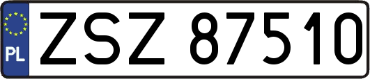ZSZ87510
