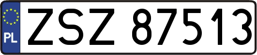 ZSZ87513