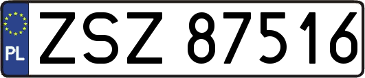 ZSZ87516