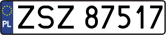 ZSZ87517