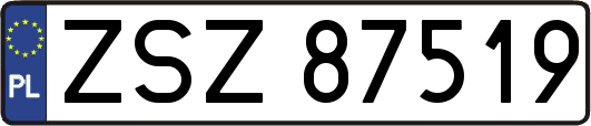 ZSZ87519