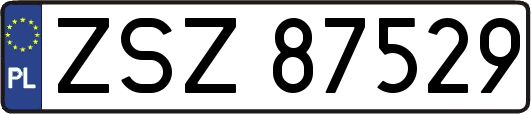 ZSZ87529
