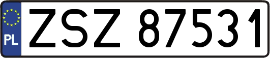 ZSZ87531