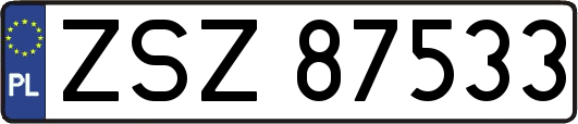 ZSZ87533