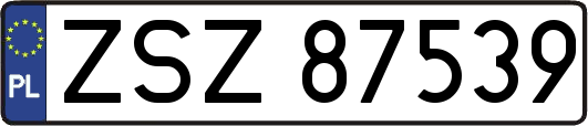 ZSZ87539