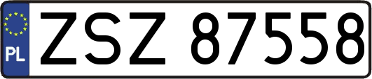ZSZ87558