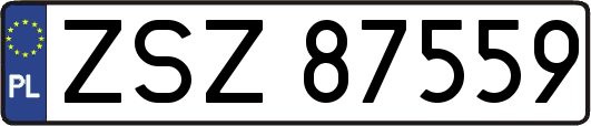 ZSZ87559