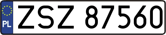 ZSZ87560