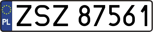 ZSZ87561