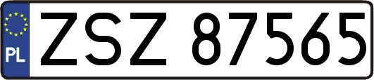 ZSZ87565