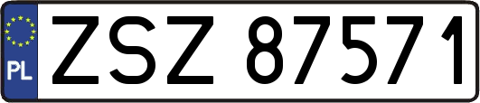 ZSZ87571