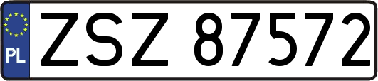 ZSZ87572