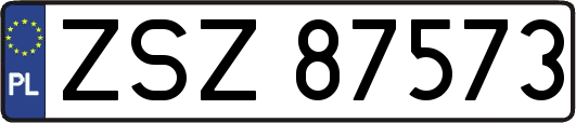ZSZ87573
