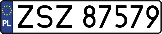 ZSZ87579