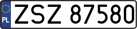 ZSZ87580