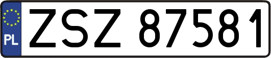 ZSZ87581