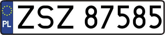 ZSZ87585