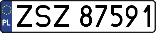 ZSZ87591