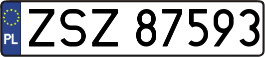 ZSZ87593