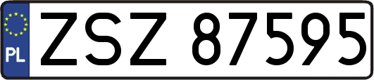 ZSZ87595