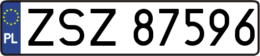 ZSZ87596
