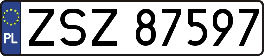ZSZ87597