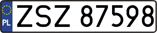 ZSZ87598