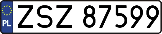 ZSZ87599
