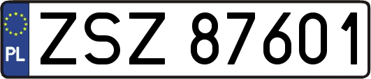 ZSZ87601