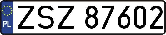 ZSZ87602