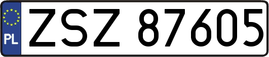 ZSZ87605