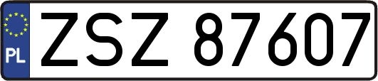 ZSZ87607