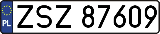 ZSZ87609