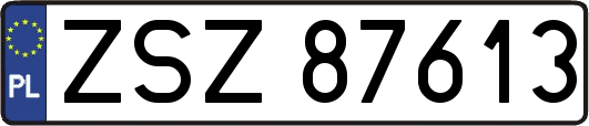ZSZ87613