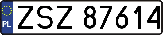 ZSZ87614