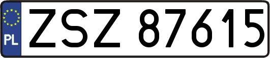 ZSZ87615