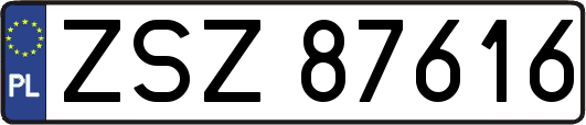 ZSZ87616