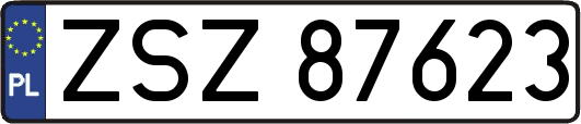 ZSZ87623