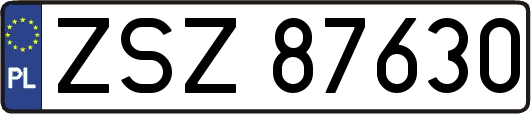ZSZ87630