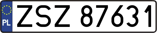 ZSZ87631