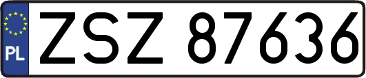 ZSZ87636