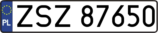 ZSZ87650