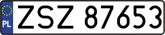 ZSZ87653